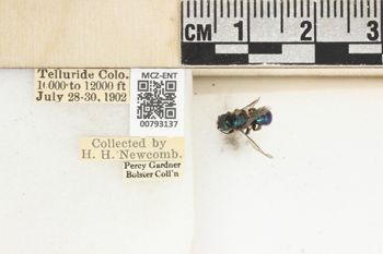 Media type: image;   Entomology 793137 Aspect: Labels